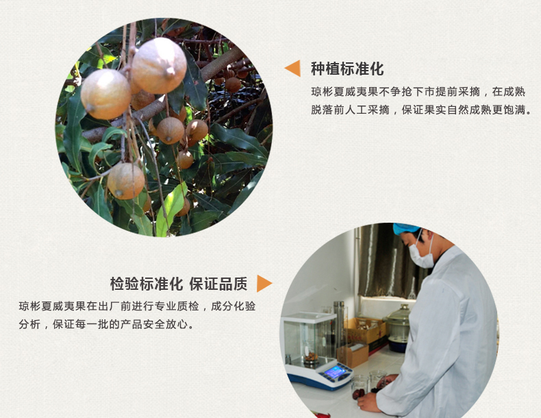 琼彬 夏威夷果仁 清香原味坚果博士果 办公室零食454g-第7张-详情图片