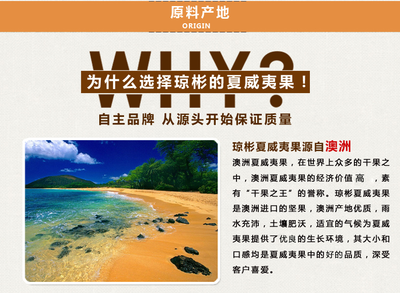 琼彬 夏威夷果仁 清香原味坚果博士果 办公室零食454g-第6张-详情图片
