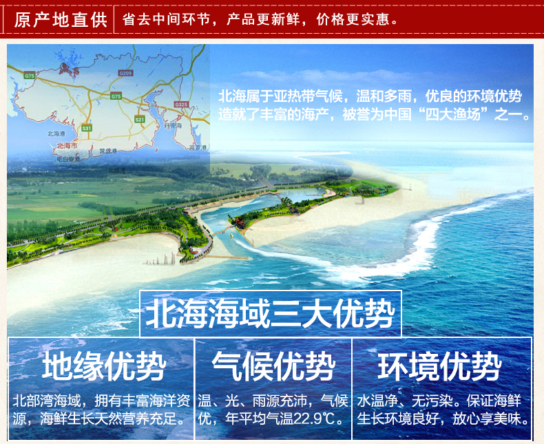 【琼彬海味礼盒组合A套餐1075g】鲍鱼蚝豉墨鱼干贝虾米-第12张-详情图片