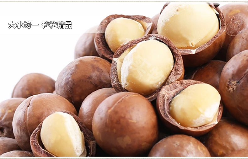 琼彬 夏威夷果仁 清香原味坚果博士果 办公室零食454g-第4张-详情图片