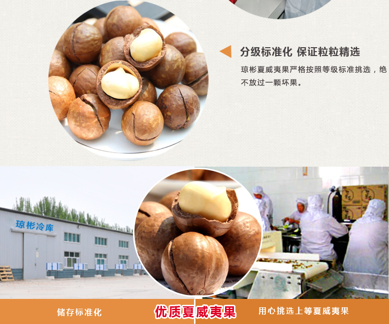 琼彬 夏威夷果仁 清香原味坚果博士果 办公室零食454g-第8张-详情图片