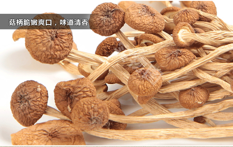 琼彬茶树菇 不开伞干货剪根食用菌菇200克-第3张-详情图片